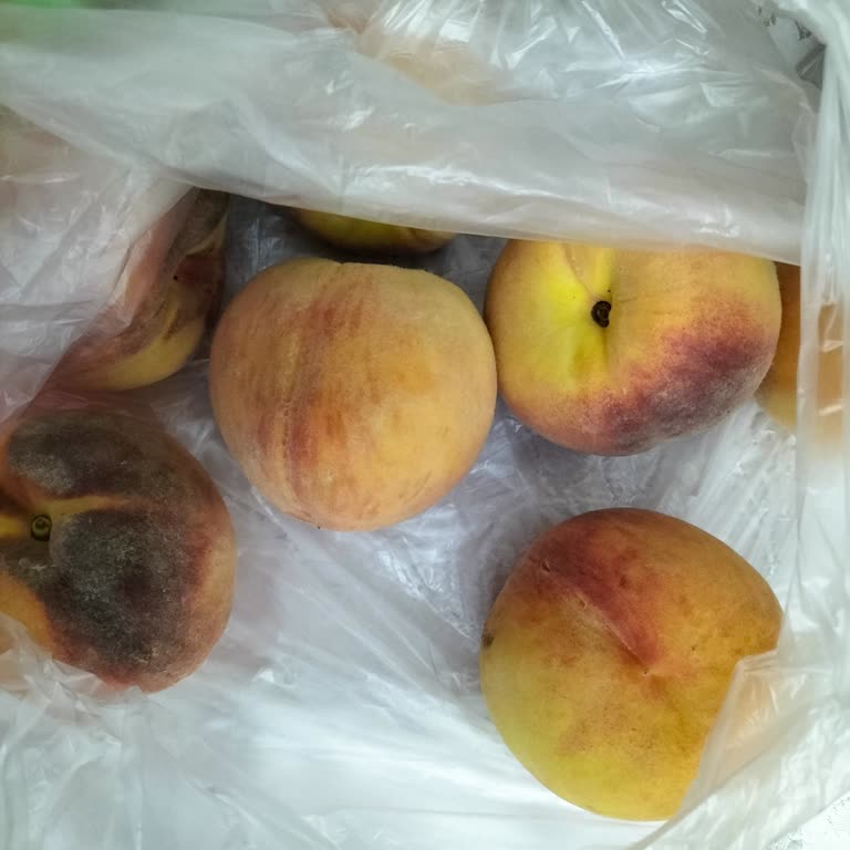 Hakmar Express Personel Saygısızlığı Ve Mağaza Sorumlusunun Sorumsuzluğu