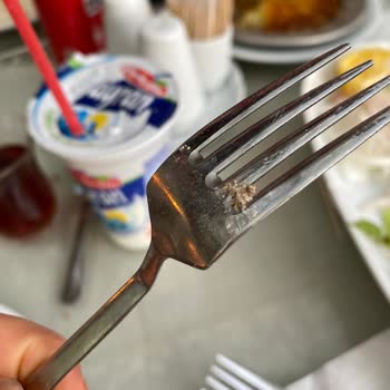 Zeki Bayrak Dinlenme Tesisleri Memnuniyetsizliği