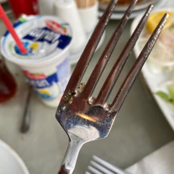 Zeki Bayrak Dinlenme Tesisleri Memnuniyetsizliği