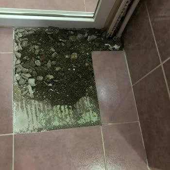 Bosch Termoteknoloji Kombi Şikayet Ve Çözümü Yok