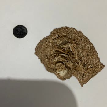 Beyoğlu Nakliyat (Van) Beyoğlu Evden Eve Nakliyat İle Yaşadığım Mağduriyet