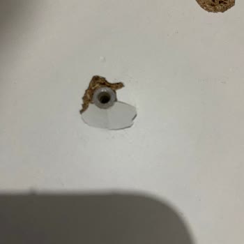 Beyoğlu Nakliyat (Van) Beyoğlu Evden Eve Nakliyat İle Yaşadığım Mağduriyet