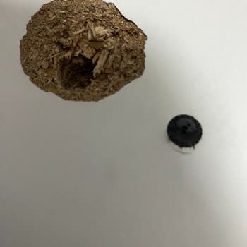 Beyoğlu Nakliyat (Van) Beyoğlu Evden Eve Nakliyat İle Yaşadığım Mağduriyet