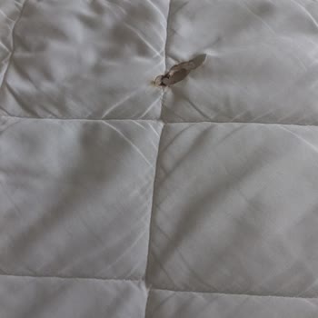 Otelz Hotelz Com Mağdur Etti Resimlere Güvenerek Gittiğimiz Otel Hijyensiz