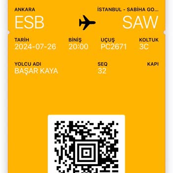 Pegasus Sinir Krizi Geçirenler.