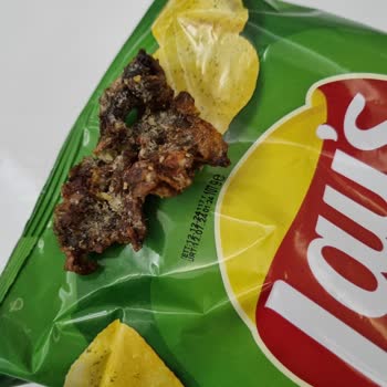 Lays Cips İçinden Çıkan Kızarmış Anlamsız Bir Şey