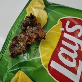 Lays Cips İçinden Çıkan Kızarmış Anlamsız Bir Şey