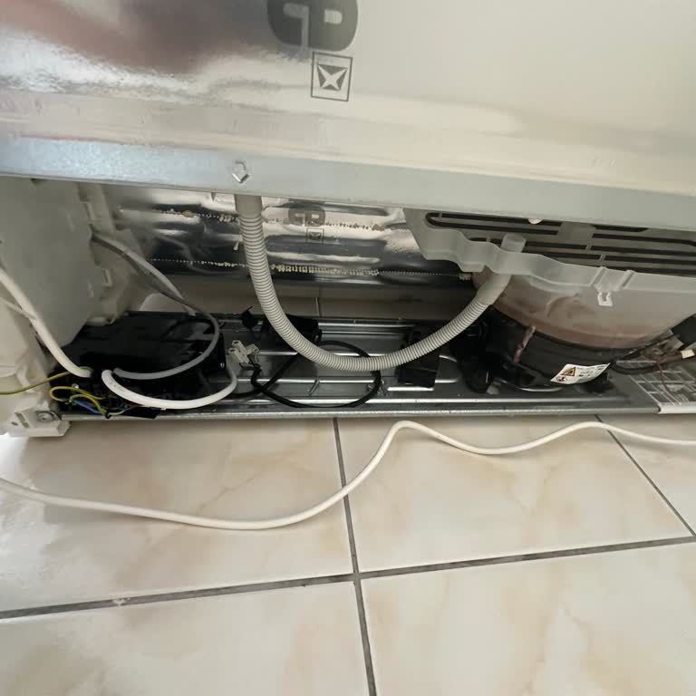 Bosch Buzdolabı Mağduriyeti Servis Ve Genel Merkez İlgisizliği