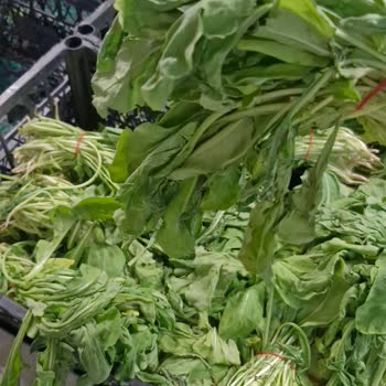 Onur Market Bozuk Ve Çürük Ürün Satışı