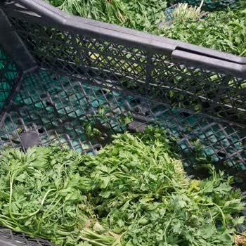 Onur Market Bozuk Ve Çürük Ürün Satışı