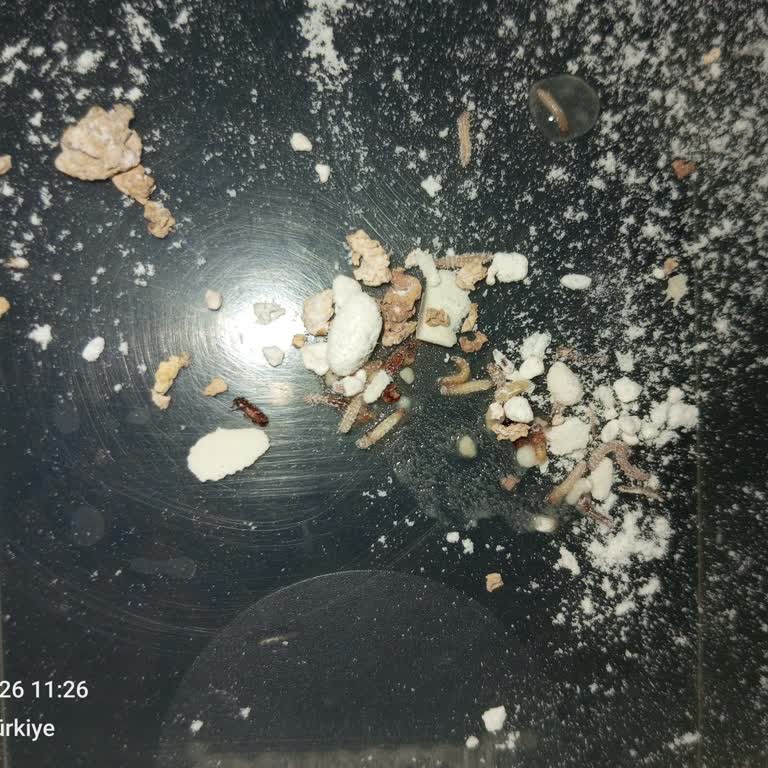 BİM Market Kurtlu Un