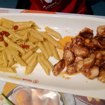 Tavuk Dünyası Salatasız Tabak Servisi
