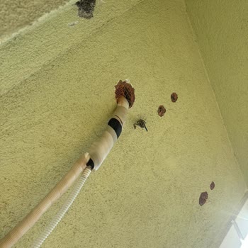 Tüketici Hakem Heyetleri Beko Ödediğim Ürünü Bana Göndermiyor Yardımcı Olun Lütfen