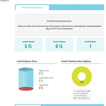 VakıfBank'a Borcum Olmamasına Rağmen Tüm Risk Raporlarında Borç Olması.