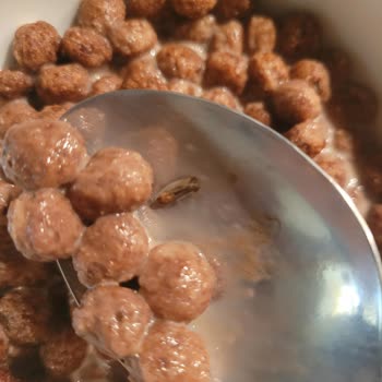 Nestle Nesquik Gevrekten Böcek Çıktı!