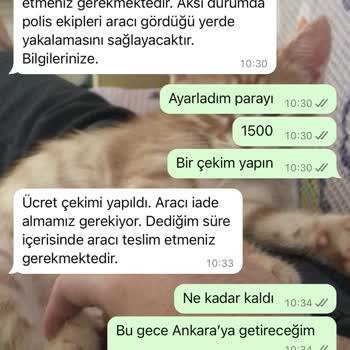 Enterprise 11 Günlük Kiralamamın 3 Gününü Yedi