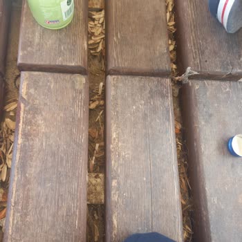 Bursa Nilüfer Belediyesi Beşevler Bölge Parkı Temizlik Sorunu