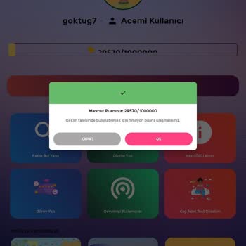 Bilen Kazanır Adlı Para Kazanma Uygulaması Puanlar Birbirini Tutmuyor