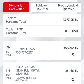 Domino's Pizza Bilgim Dışında Kartımdan Harcama Yapılmış