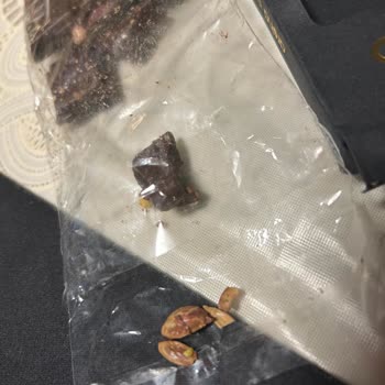 Aroha Çikolata Çikolatadan Kabuğu İle Beraber Çıkan Antep Fıstığı