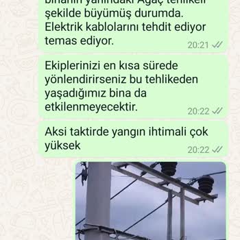 Başkent Elektrik Elektrik Tellerini Tehdit Eden Ağaçları Kesmiyor