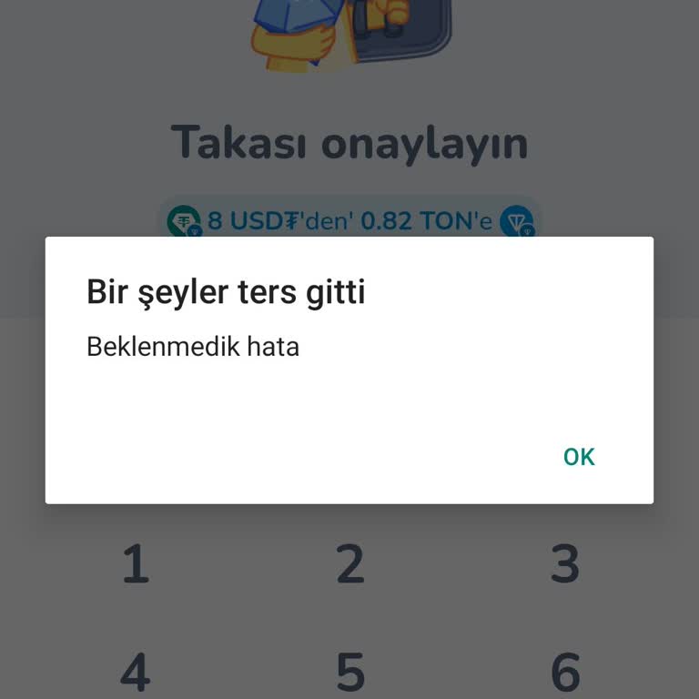 MyTonWallet Swap İşleminde Yaşanan Sorun Ve Destek Eksikliği