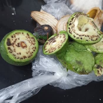 Migros Bozuk Avokado Hk.