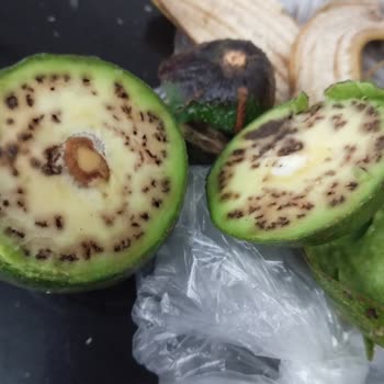 Migros Bozuk Avokado Hk.