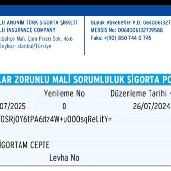 Anadolu Sigorta Poliçe E-devlet Ten Gözükmüyor