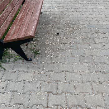 Kayseri Büyükşehir Belediyesi Kayseri Spor Parkı