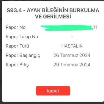 E-Nabız Raporum PDF Olarak Gözükmüyor