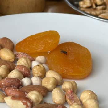 Halimbey Sofrası Sinekli Bakkal