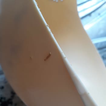 A101 Yöremce Aşurelik Buğday