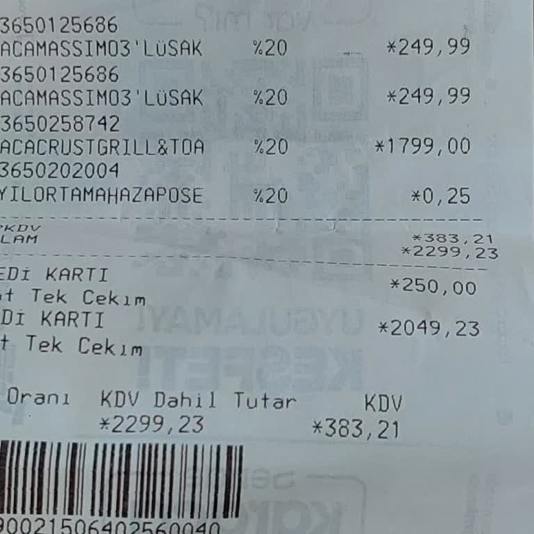 Karaca Tost Makinesi Arızası