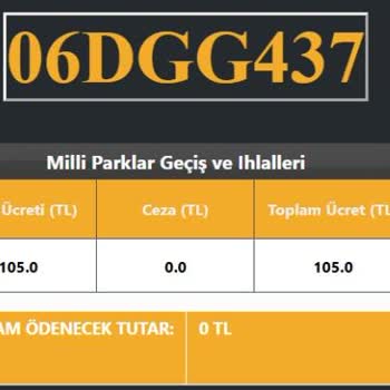 Karayolları Genel Müdürlüğü Milli Parklar HGS Ödeme Yapılmasına Rağmen Gözükmemesi Hk.