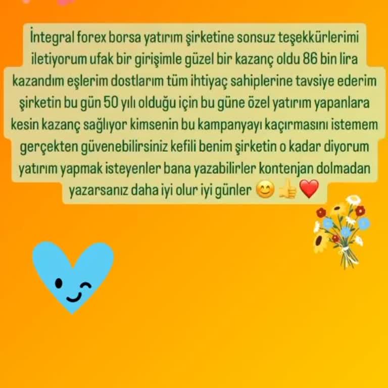 İntegral Yatırım Menkul Değerler İntegral Forex Şirketi