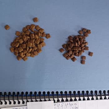 Epttavm Mef Mağazası Sahte Royal Canin Yolluyor