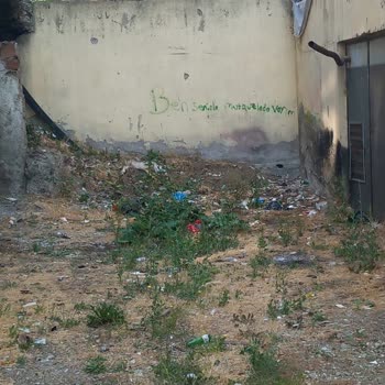 Kahramankazan Belediyesi Ankara Kazan Bölgesindeki Temizlik Sorunları