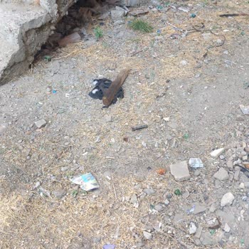 Kahramankazan Belediyesi Ankara Kazan Bölgesindeki Temizlik Sorunları