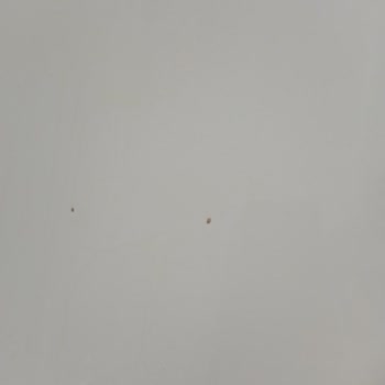 Vestel Buzdolabı Çürüme Ve Paslanma