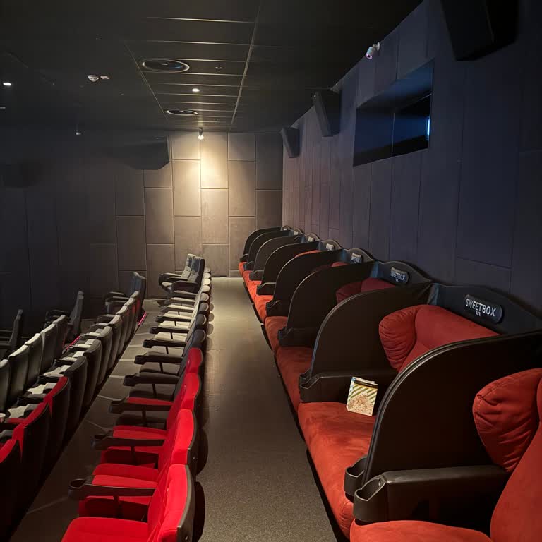 Paribu Cineverse Sur Yapı Bursa Paribu Sinemadaki Kameranın Görüş Açısı