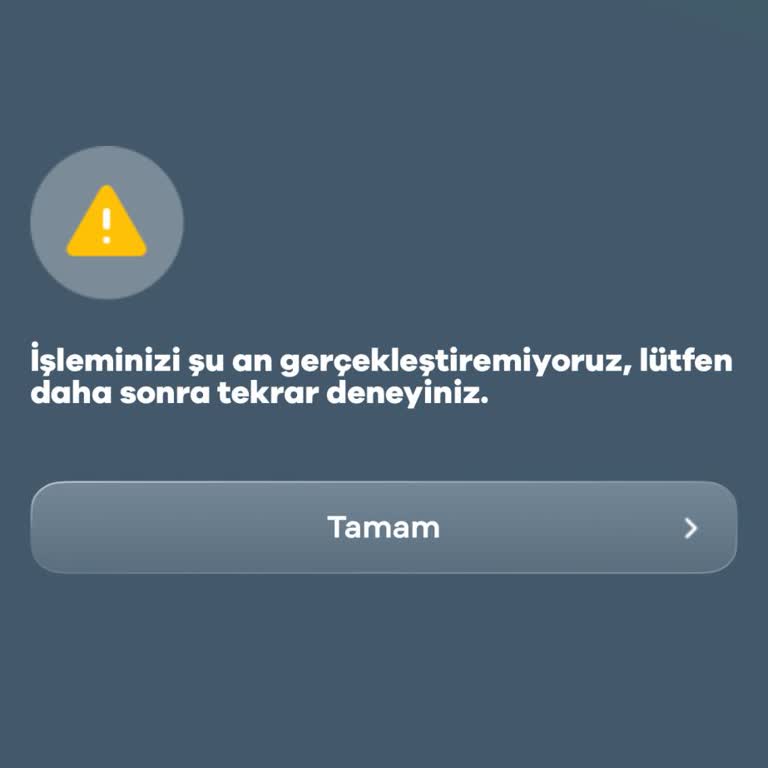 Mobil Uygulama Giriş Hatası - Bıktık Hayat Finans