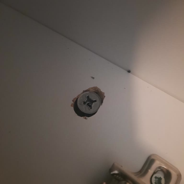 Setay Mobilya S**** Ranza Yavrulu