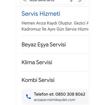Vestel Kendilerini Teknik Servis Olarak Tanıtıp Paramı Alıp Tamir Yapmadılar