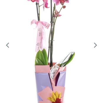 Taze Çiçek (tazecicek.com) Görseldekinden Farklı Çiçek Gönderimi