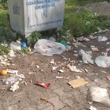 Ardahan İl Özel İdaresi Köyler Çöp İçinde