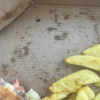 Yüksekova Domino's Pizza Böcek Çıktı!