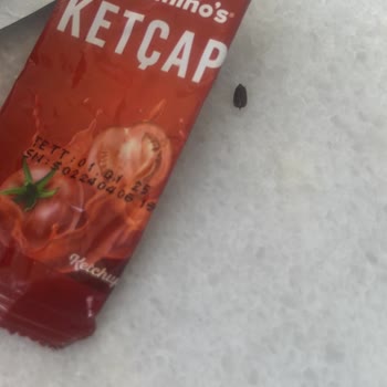 Yüksekova Domino's Pizza Böcek Çıktı!