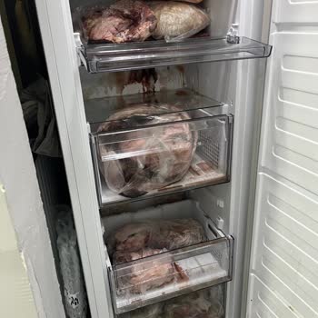 Arçelik Derin Dondurucu Pişmanlığı