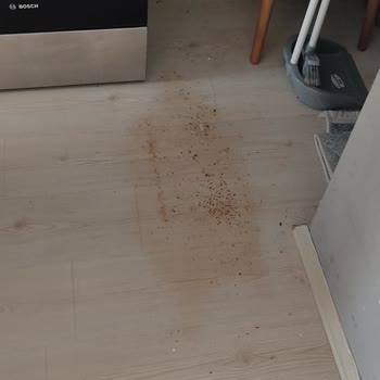 Vestel Tüketiciyi Aldatıcı Hareket